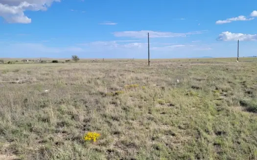 Moriarty NM Residential Lot with Utilities | 0.47 Acres