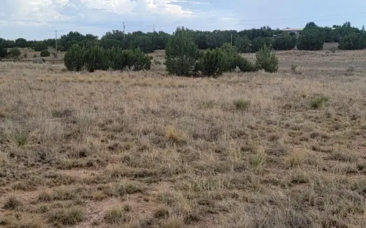 1.5 Acres of Residential Land for Sale in Moriarty, NM  Copy