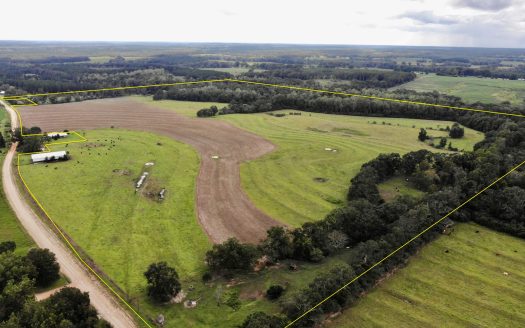 Farm Land for Sale Below Slocomb Al – Dothan Al – Hunting