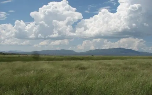 152+/- Acres – San Rafael Valley, Az  $304,000