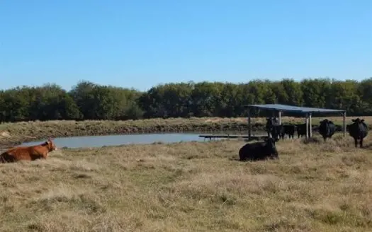 Land for Sale Blossom Texas Lamar County