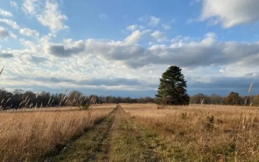 Farm for Sale in Tn, Fields, Springs, Creeks, Woods, Hunting