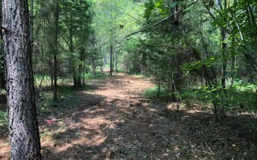 East Tennessee View Acreage for Sale