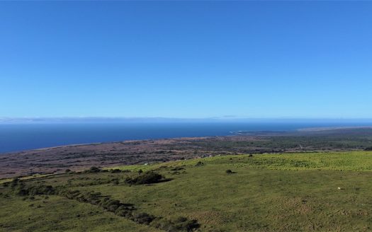 Big Island Hawaii Land with Oceanviews in Coffee Belt