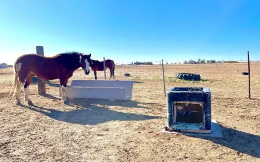 Co Country Home & Horse Property for Sale Near Brighton, Co