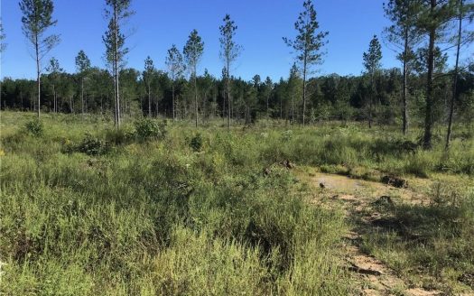 70 Acres Mostly Flat – Rome, Ga