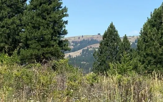 Fantastic Acreage, Usable Land, Peck Idaho