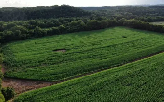 Tennessee Mini Farm for Sale Morristown Hamblen County Tn