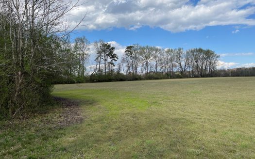 Farmland for Sale Beaufort Co., Nc, Great Hunting Property