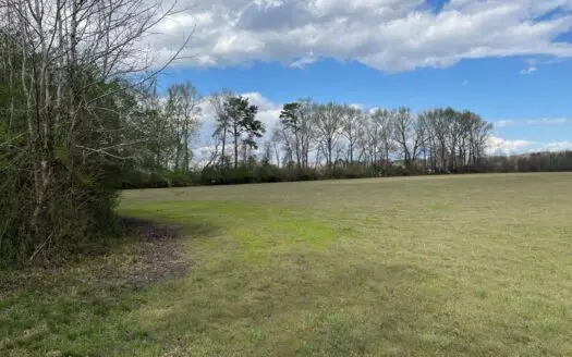 Farmland for Sale Beaufort Co., Nc, Great Hunting Property
