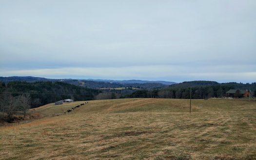 Farm for Sale in Willis Va