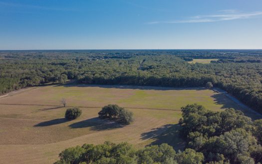 30 Pristine Acres in Bell Fl!