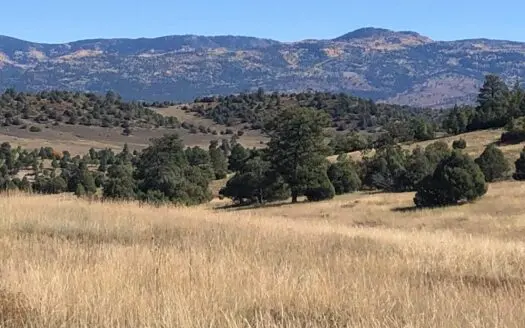Gorgeous Northern New Mexico Farm with Well, Septic, Power