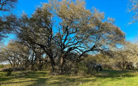 Land for Sale in Central Texas