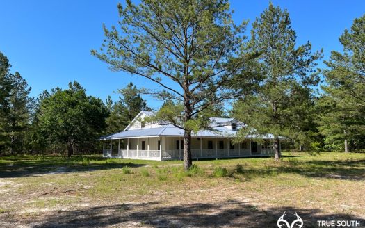 Jasper Lowcountry Rural Homesite Estate