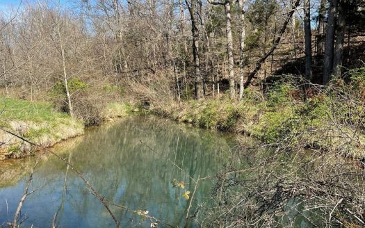 Large Ranch for Sale in Missouri