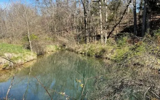 Large Ranch for Sale in Missouri