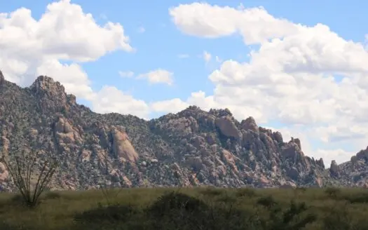 Spectacular AZ property with panoramic mountain view