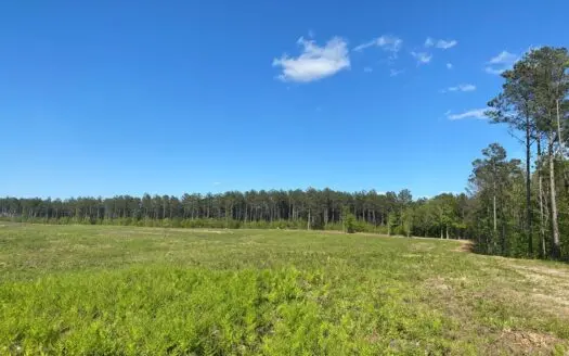 Land For Sale In Tn, 26 Acres+/-, Open Land