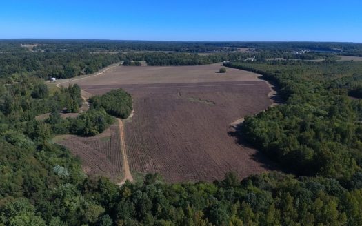 Farmland For Sale In Tennessee. Great Investment!