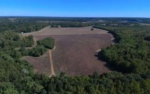 Farmland For Sale In Tennessee. Great Investment!