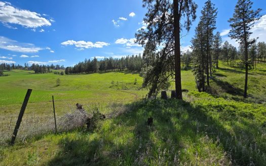 Captivating 53.56 Acres 10 Min to Downtown Spokane!