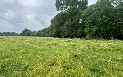 Boeuf 27 for Sale Franklin Parish