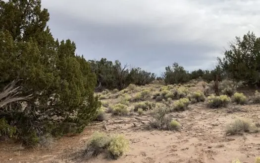 Northeastern Arizona Large Acreage for Sale