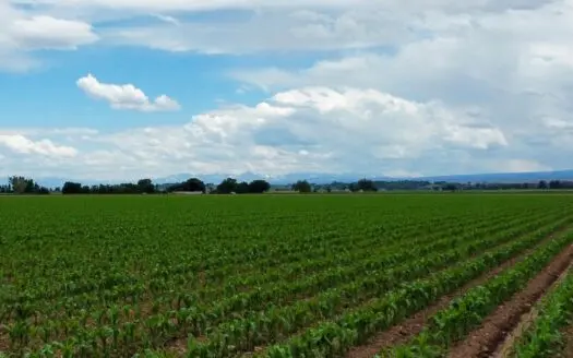 Land For Sale in Colorado with Water Rights