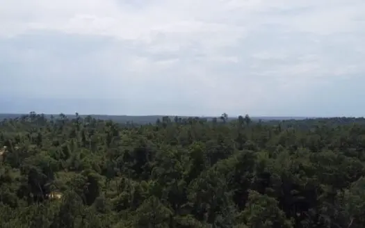 Wooded Paradise Near McCormick Lake!