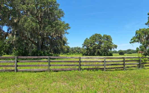 20 Acres–Exceptional Horse Property Near Ocala, Florida