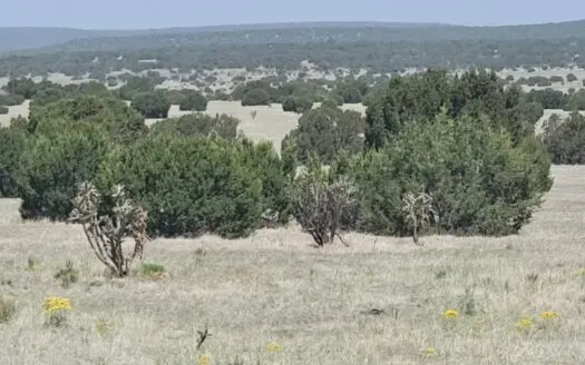 39.9 Acres in Estancia NM with Mountain Views & Good Soil