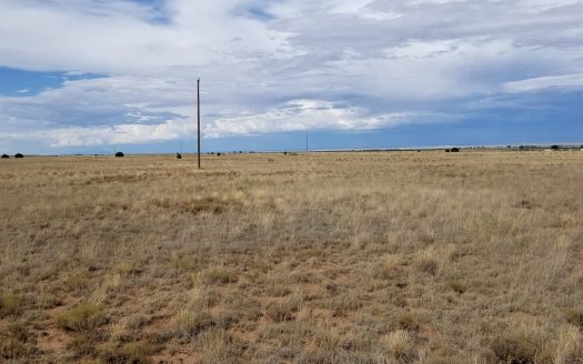 10 Acres Near Estancia – Mountain Views & Room to Roam
