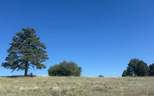 Land For Sale Near Chama NM in Horse Friendly Community