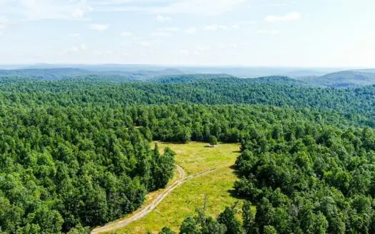 Ozark Hunting Ranch in South Central Missouri