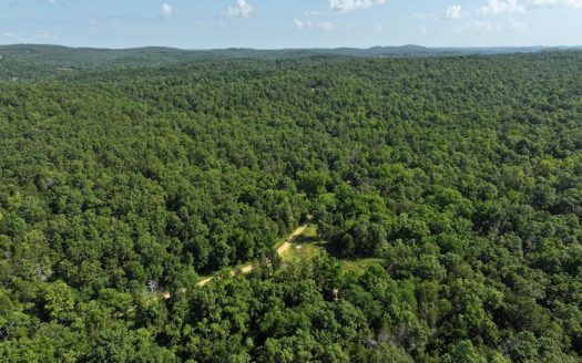 40 Secluded Acres in Southern Missouri near Bull Shoals Lake