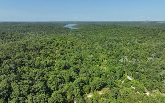 40 Secluded Acres in Southern Missouri Ozarks Near Bull Shoals