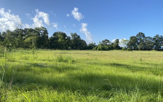 163± Acres of Land For Sale in Maurice, LA.