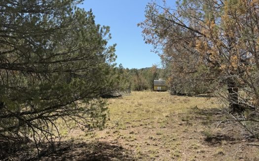 Northern AZ Acreage with Mature Trees and Seasonal Creek for Sale