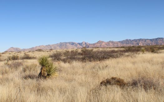 Spectacular property with gorgeous views in St David AZ