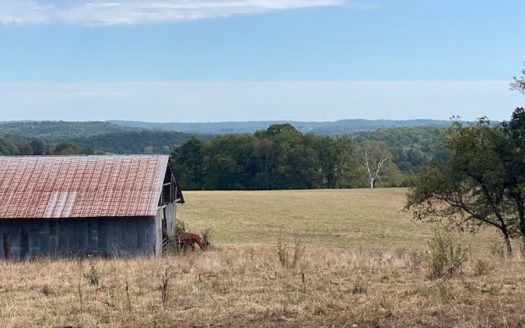 Productive Land with Beautiful View