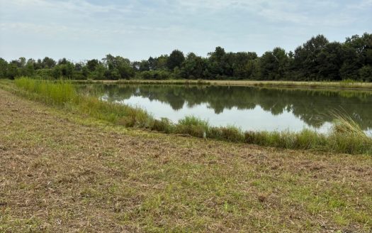 Large Country lot in Acadia parish with easy access to Interstate