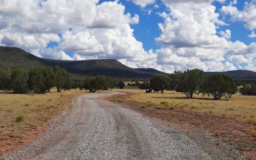 Everything Needed But The House !