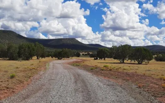 Everything Needed But The House !