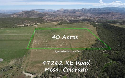 40 Acres For Sale At The Base Of The Grand Mesa In Western CO