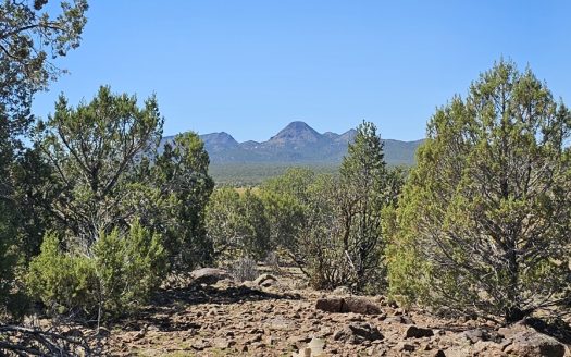 Unobstructed views of Mt Floyd and Round Mountain on 38.98acres