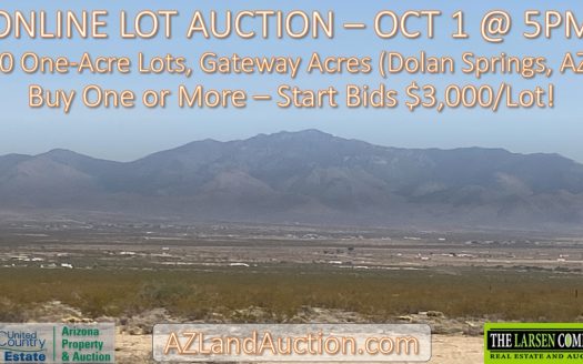 Online Auction: 10 One-Acre Lots in Dolan Springs – Ends Oct 1