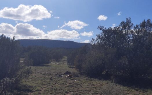 Beautifully treed Northern Arizona off grid property