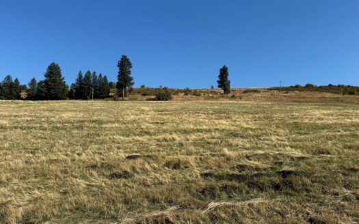 Land for Sale in Grangeville, Idaho