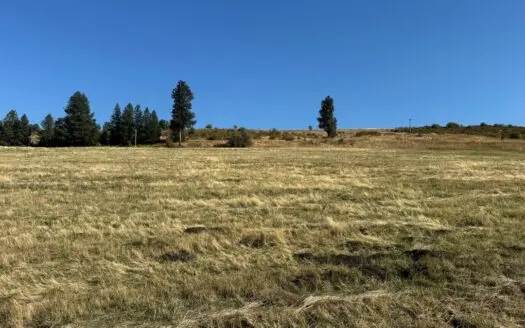 Land for Sale in Grangeville, Idaho